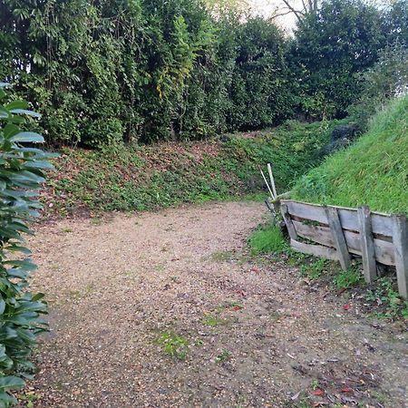 Gite Des Petites Ruelles : Familial Et Chaleureux Trôo Exteriör bild
